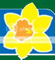 go to Marie Curie Cancer Care website