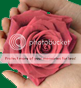 click to go to Rosie Maternity Hospital website