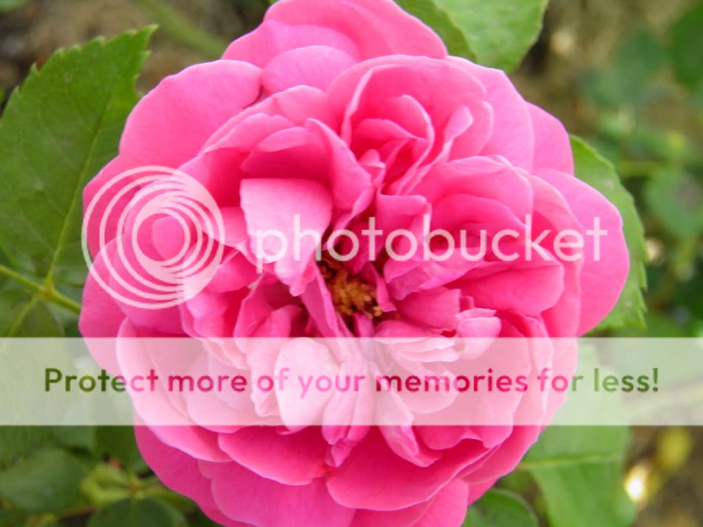 Unknown OGR from ARE