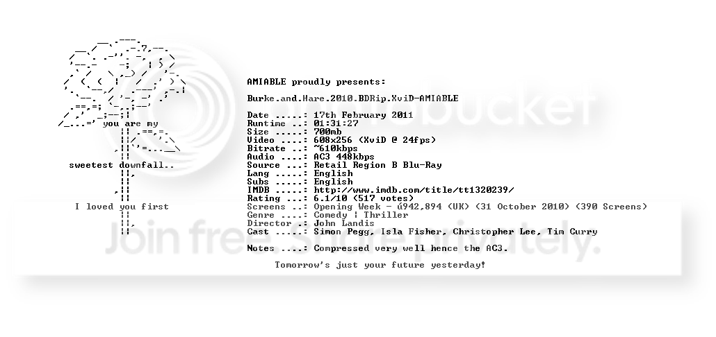 Burke+and+hare+2010+bdrip