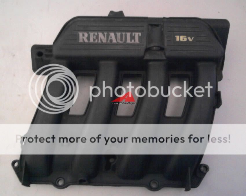 coletor menstrual prudence