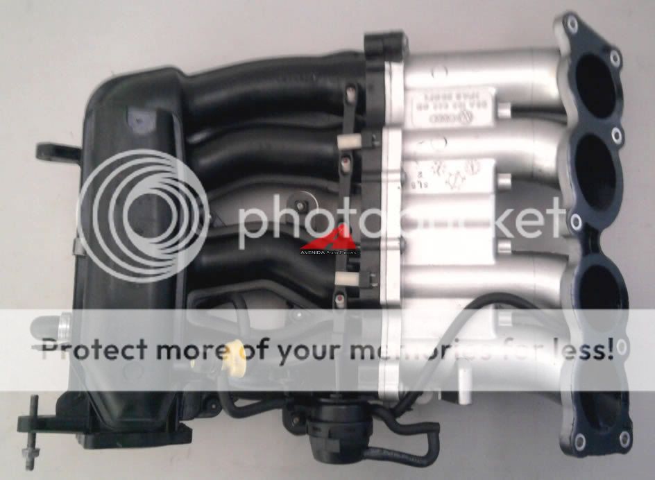 coletor menstrual prudence comprar