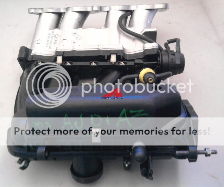 coletor menstrual prudence comprar