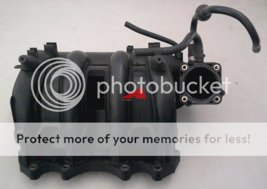 coletor menstrual comprar fleurity