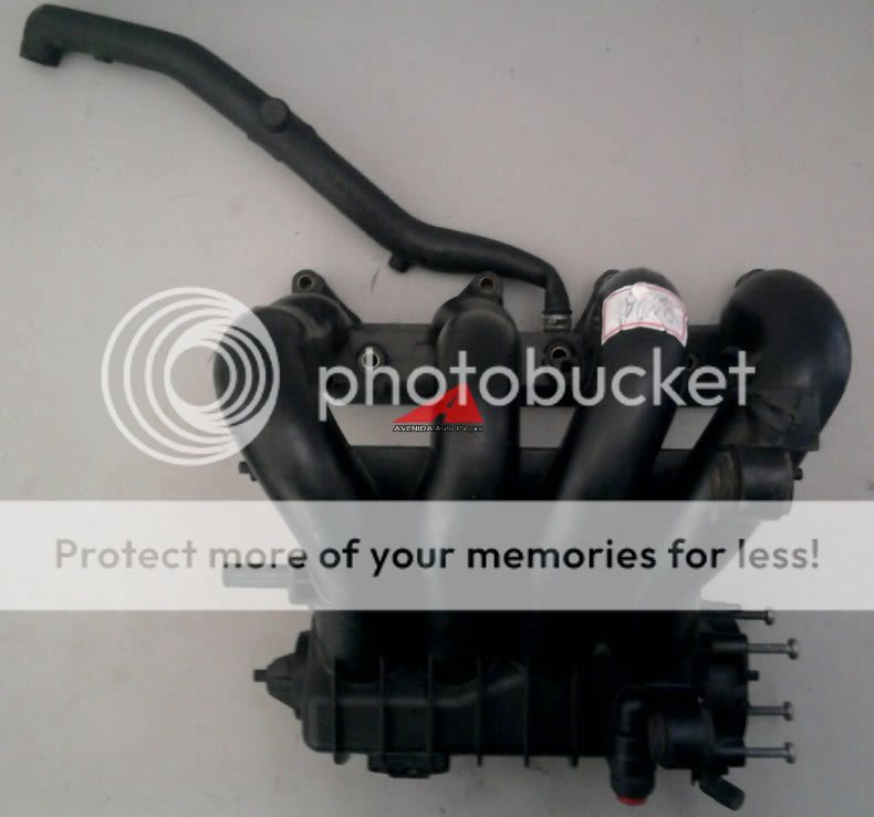 copo coletor menstrual marcas