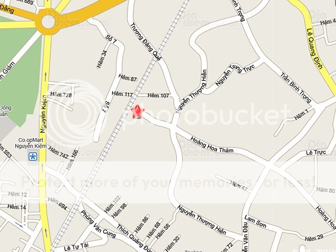 Chó Rottweiler và chó Đốm (dalmatian) thuần chủng giá hot !!! cập nhật liên tục - 1