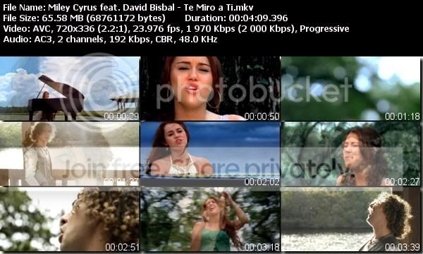 mileycyrusfeatdavidbisb.jpg