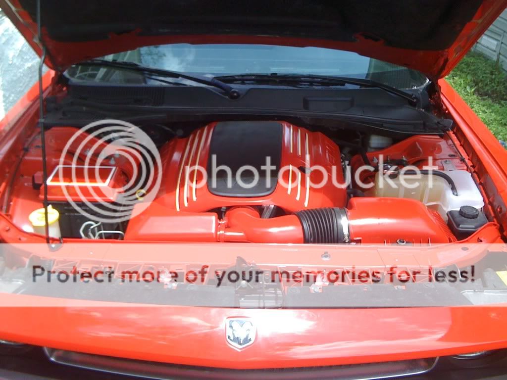 Custom Color Engine Bay